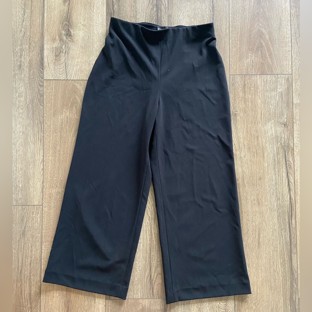 Express Wide Leg Crop Dress Pants